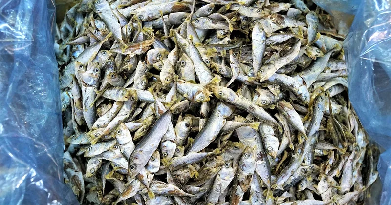 La cuisson en batch : une réponse concrète, mais pas universelle
