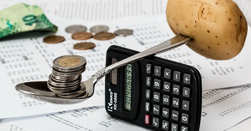 La distinction systématique entre chiffre d'affaires et revenu disponible